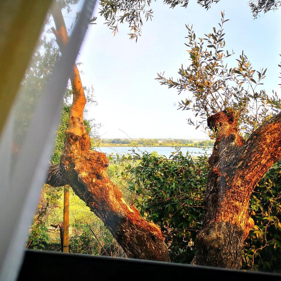 Sul Lago Dorato Terracina Dış mekan fotoğraf