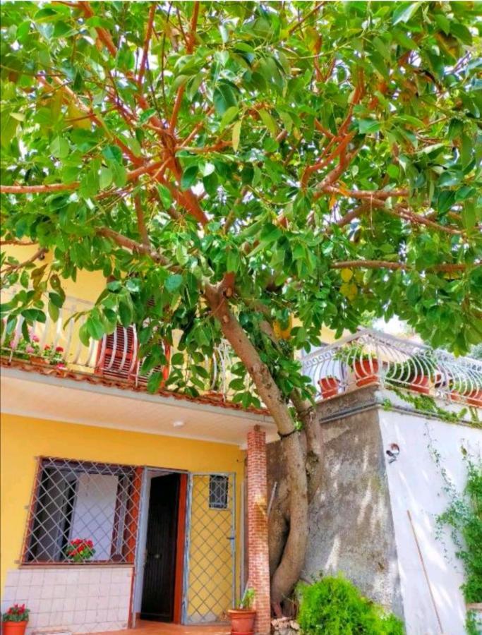 Sul Lago Dorato Terracina Dış mekan fotoğraf